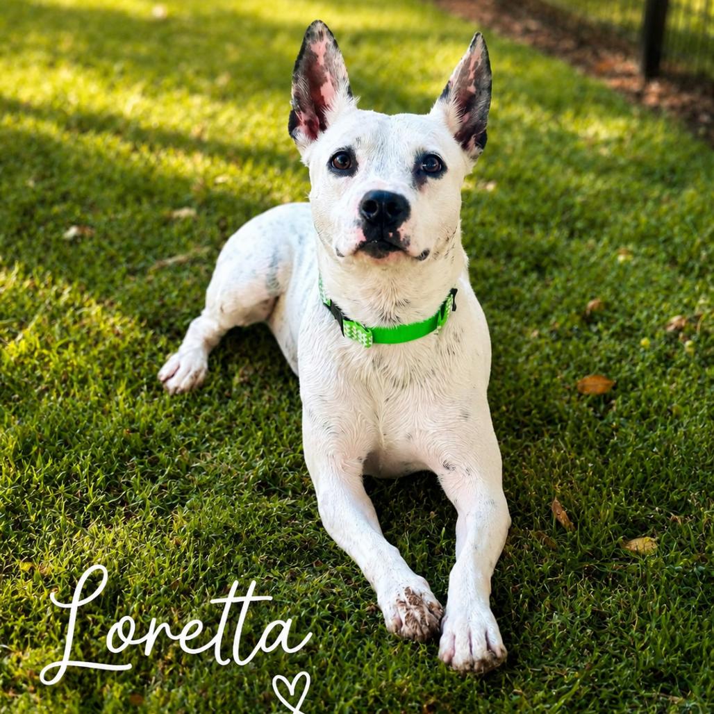 Loretta photo