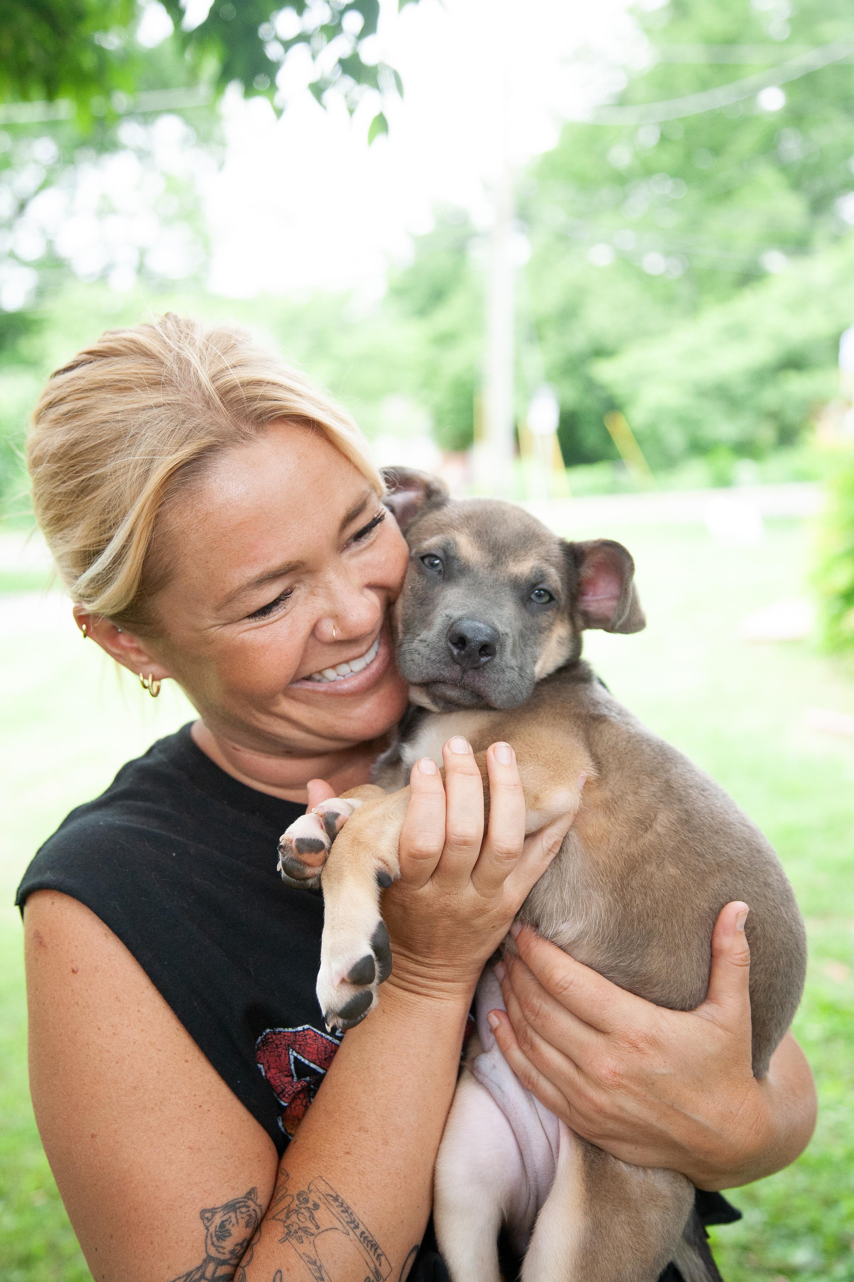 Woody, a Adoptable Mixed Breed in Nashville, TN image 1/6