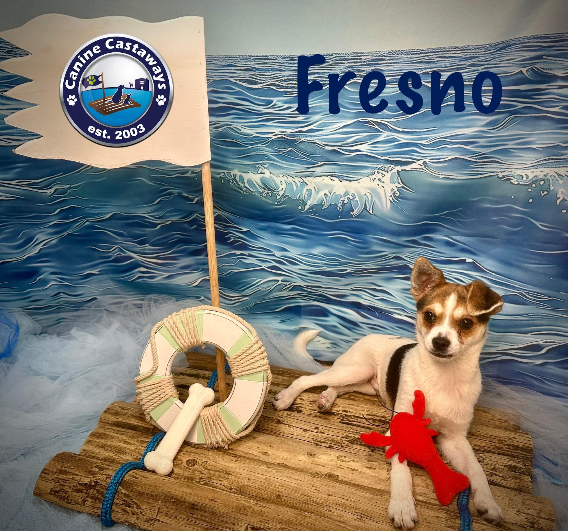 Fresno thumbnail 4