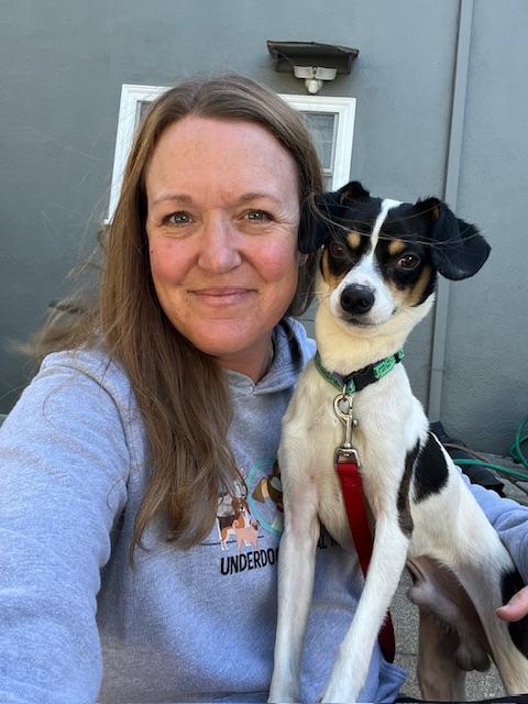 Enlarge Johnny Gill, a Adoptable mixed breed in burlingame, CA image 6/6