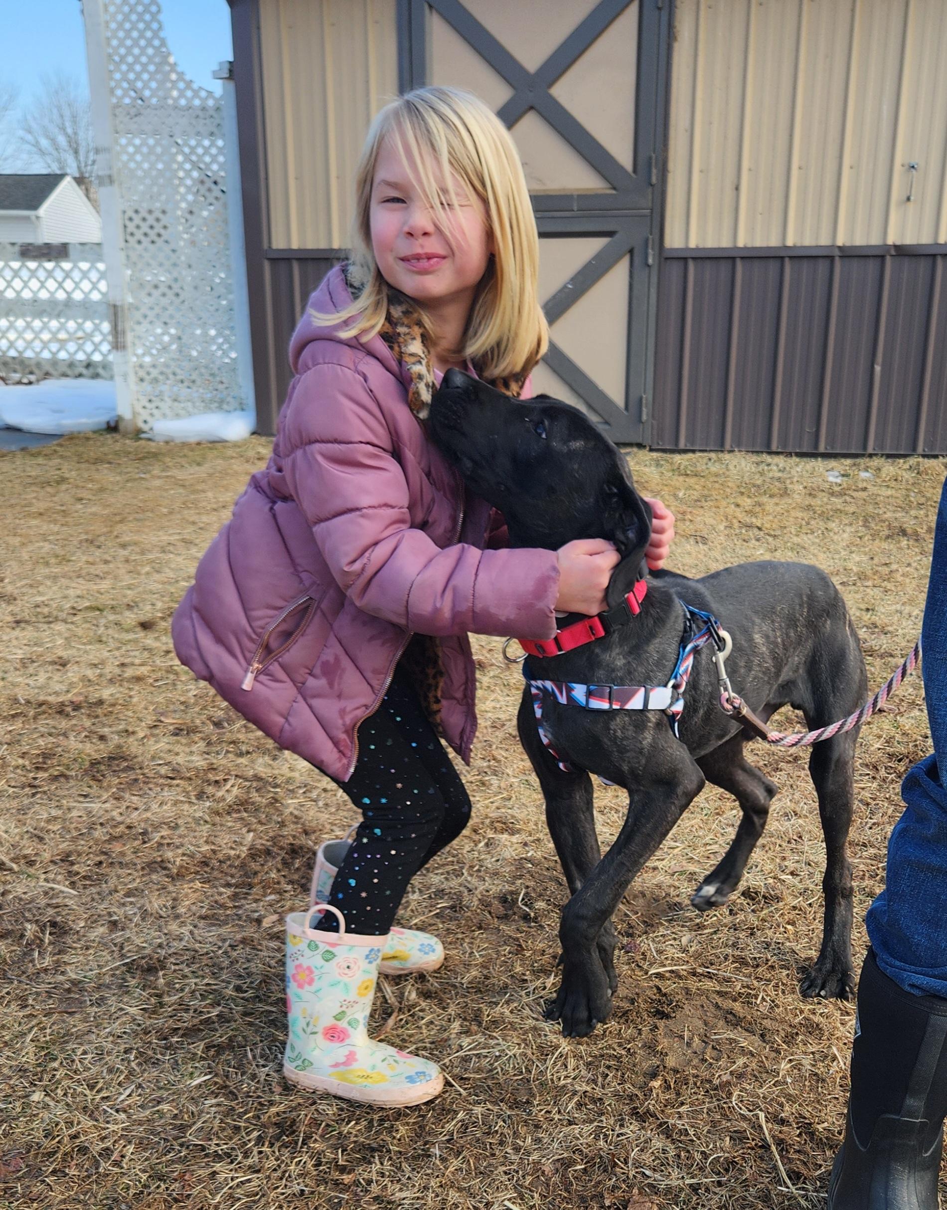 Arlo, a Adoptable mixed breed in Warrington, PA image 2/5