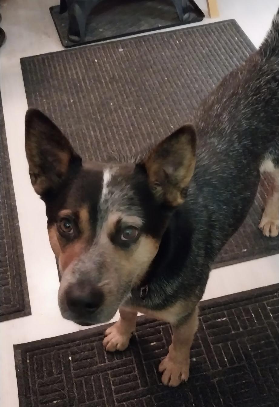 Charlie