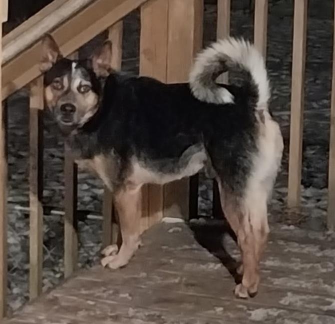 Charlie