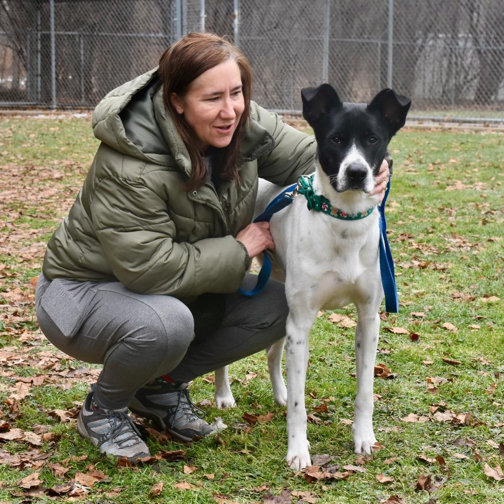 Enlarge Oreo, a Adoptable mixed breed in Deerfield, IL image 3/5