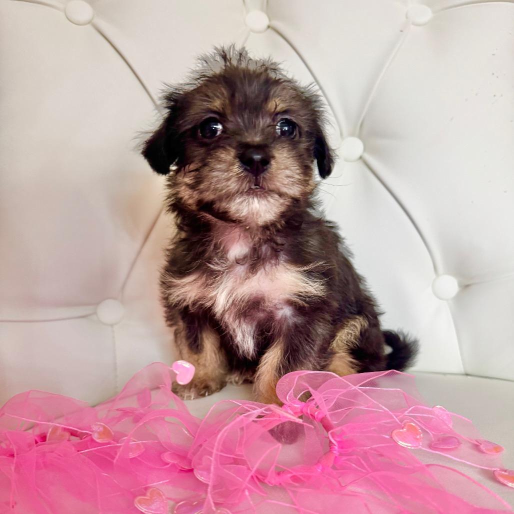 Valentine's Hugs thumbnail 3