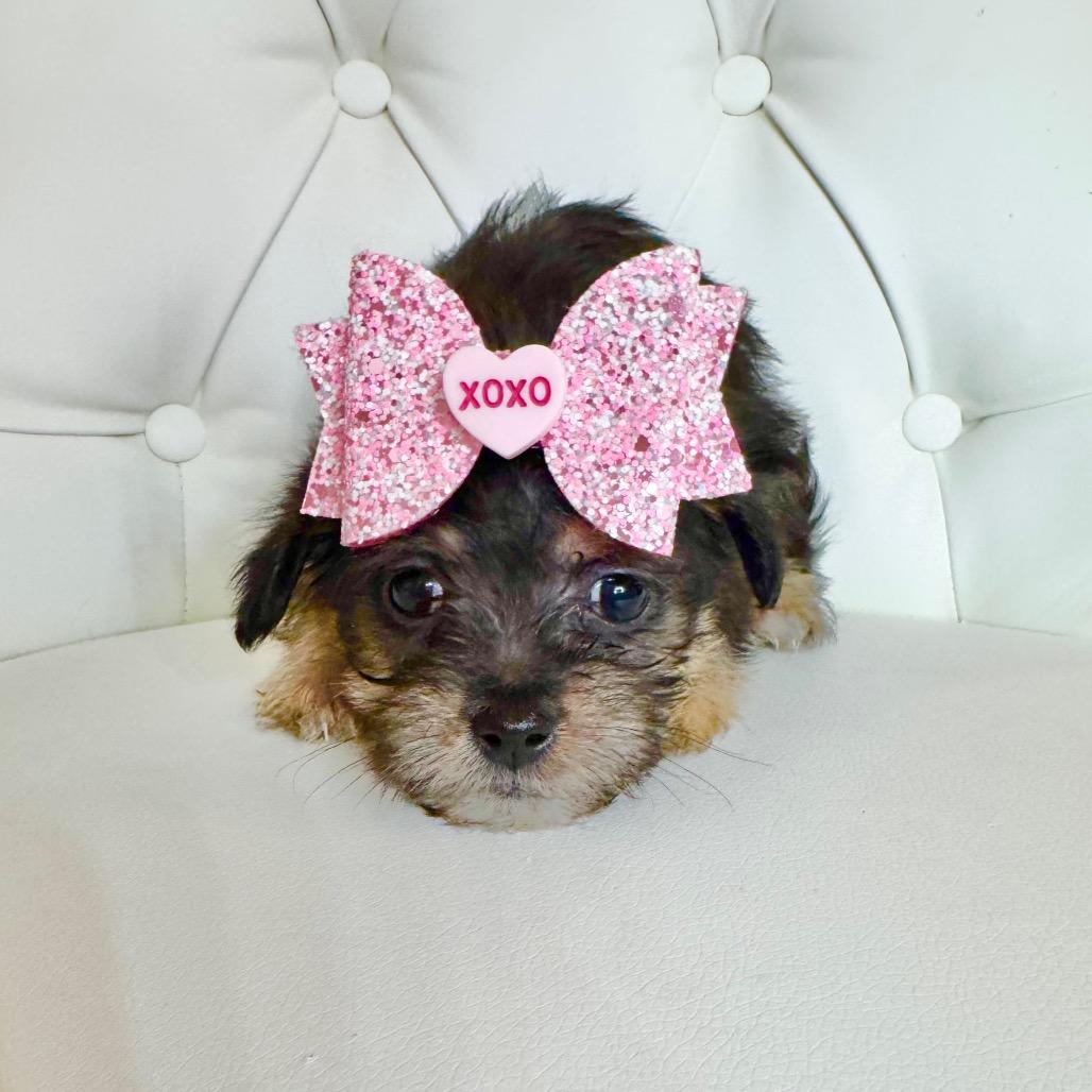 Valentine's Hugs thumbnail 4