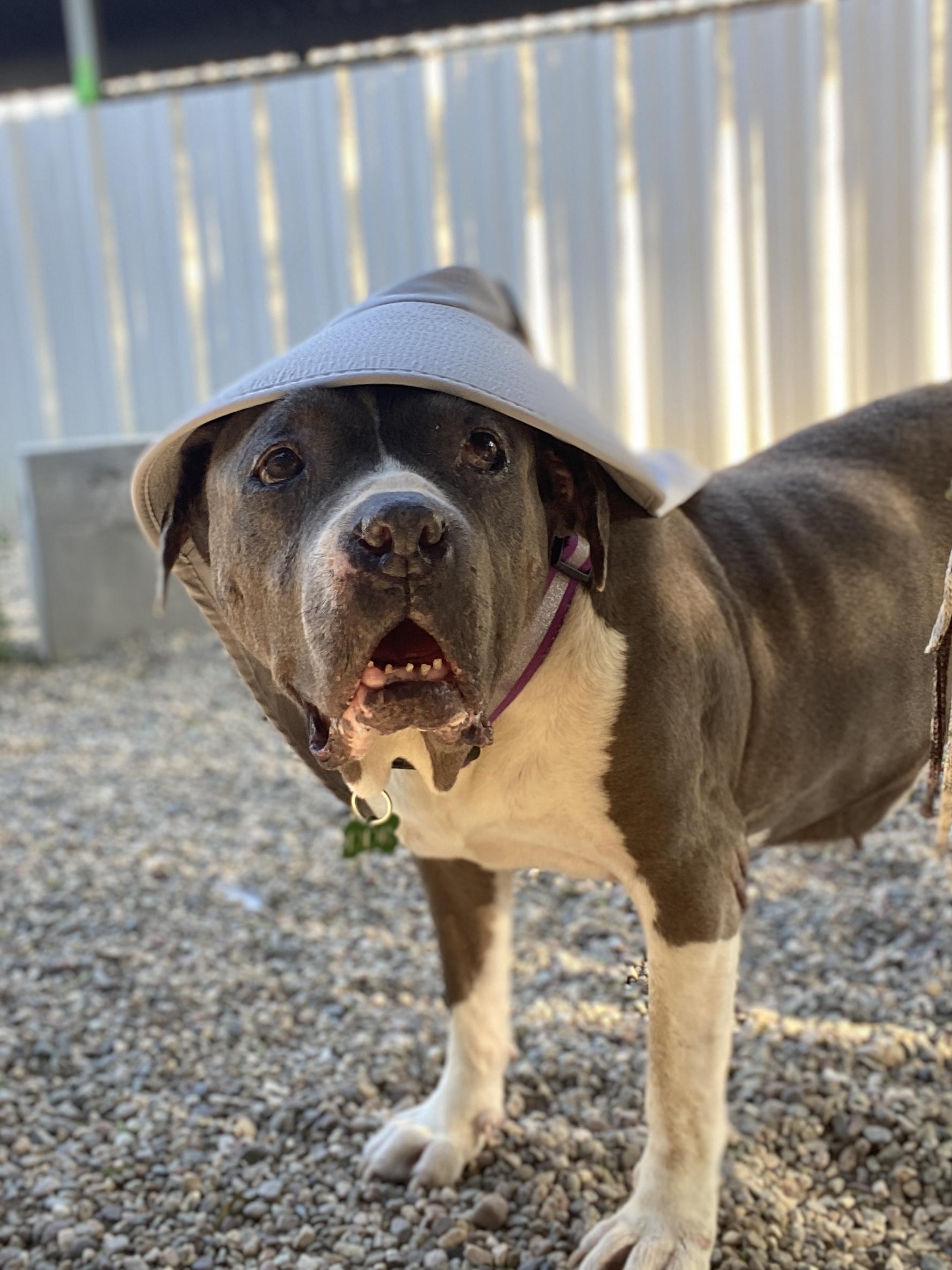 Sally Jo Brown (senior sweetheart) 2