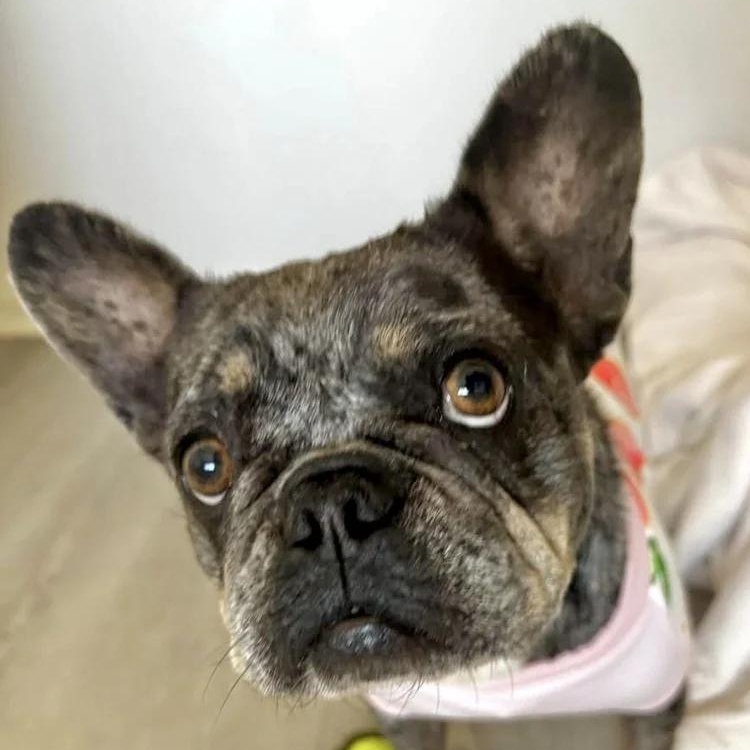 Maggie