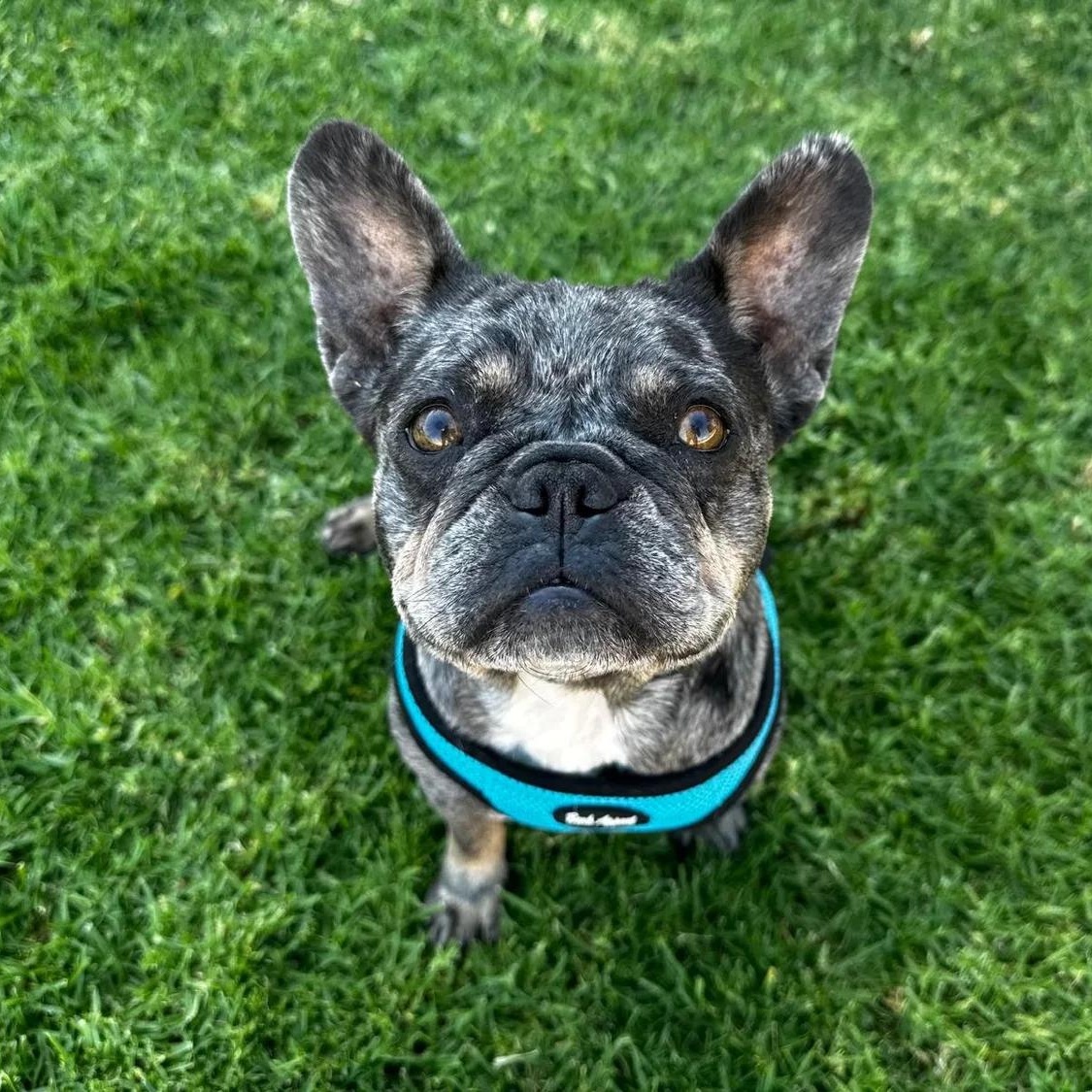 Maggie