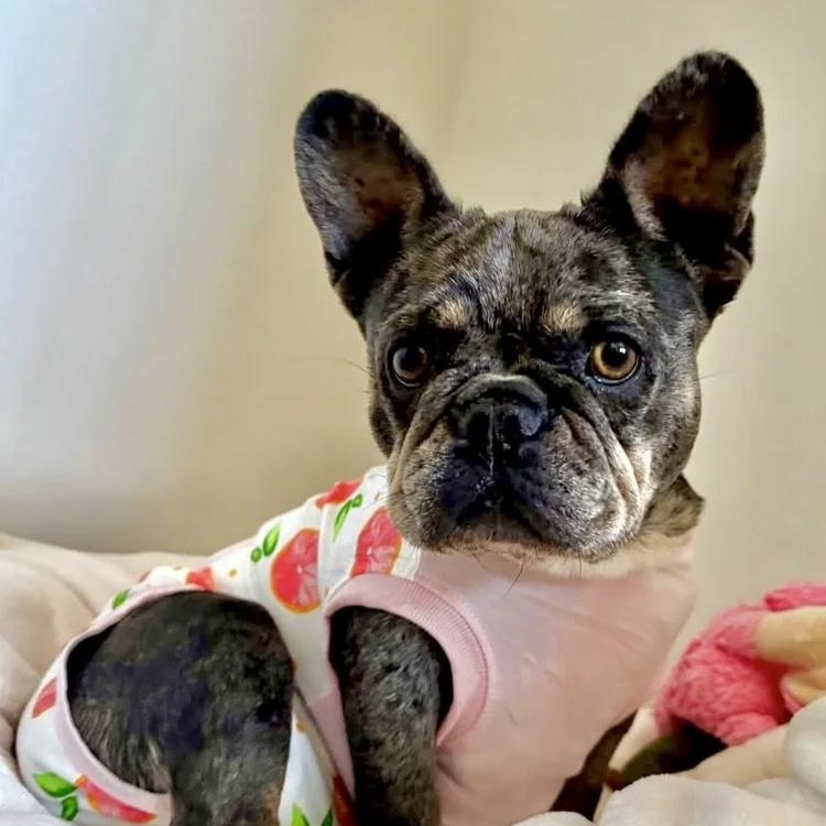 Maggie