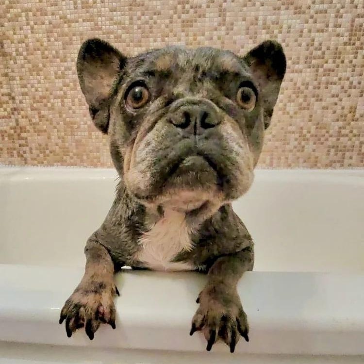 Maggie