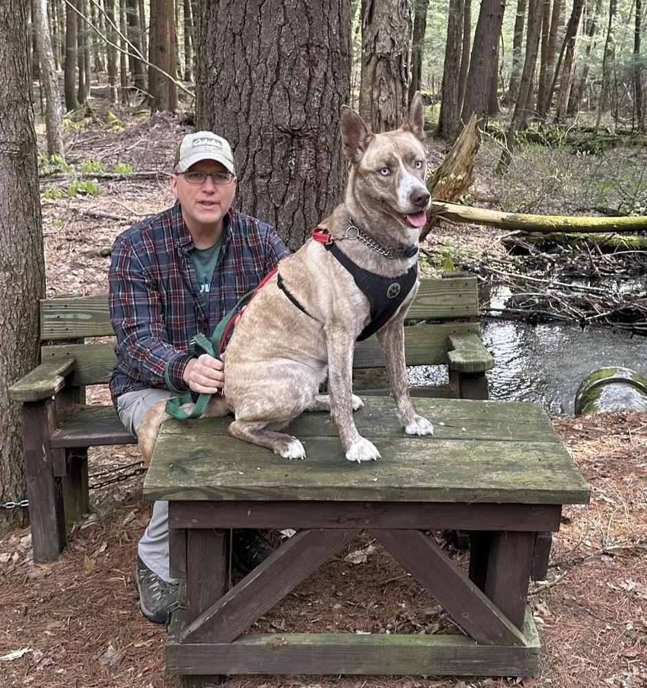 Enlarge Denali NKA Reighna, a Adopted mixed breed in Syracuse, NY image 3/6