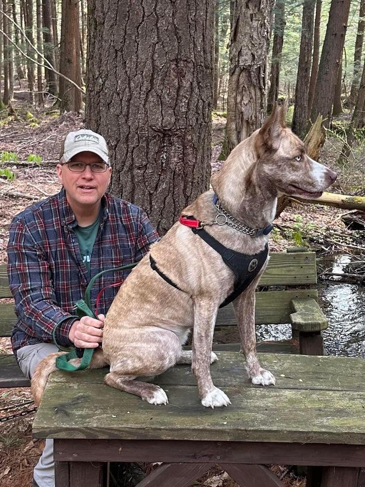 Enlarge Denali NKA Reighna, a Adopted mixed breed in Syracuse, NY image 5/6