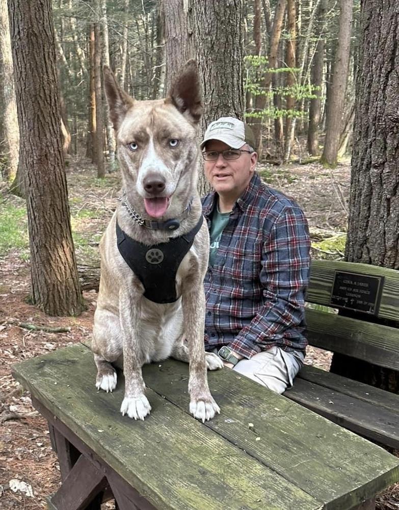 Enlarge Denali NKA Reighna, a Adopted mixed breed in Syracuse, NY image 6/6