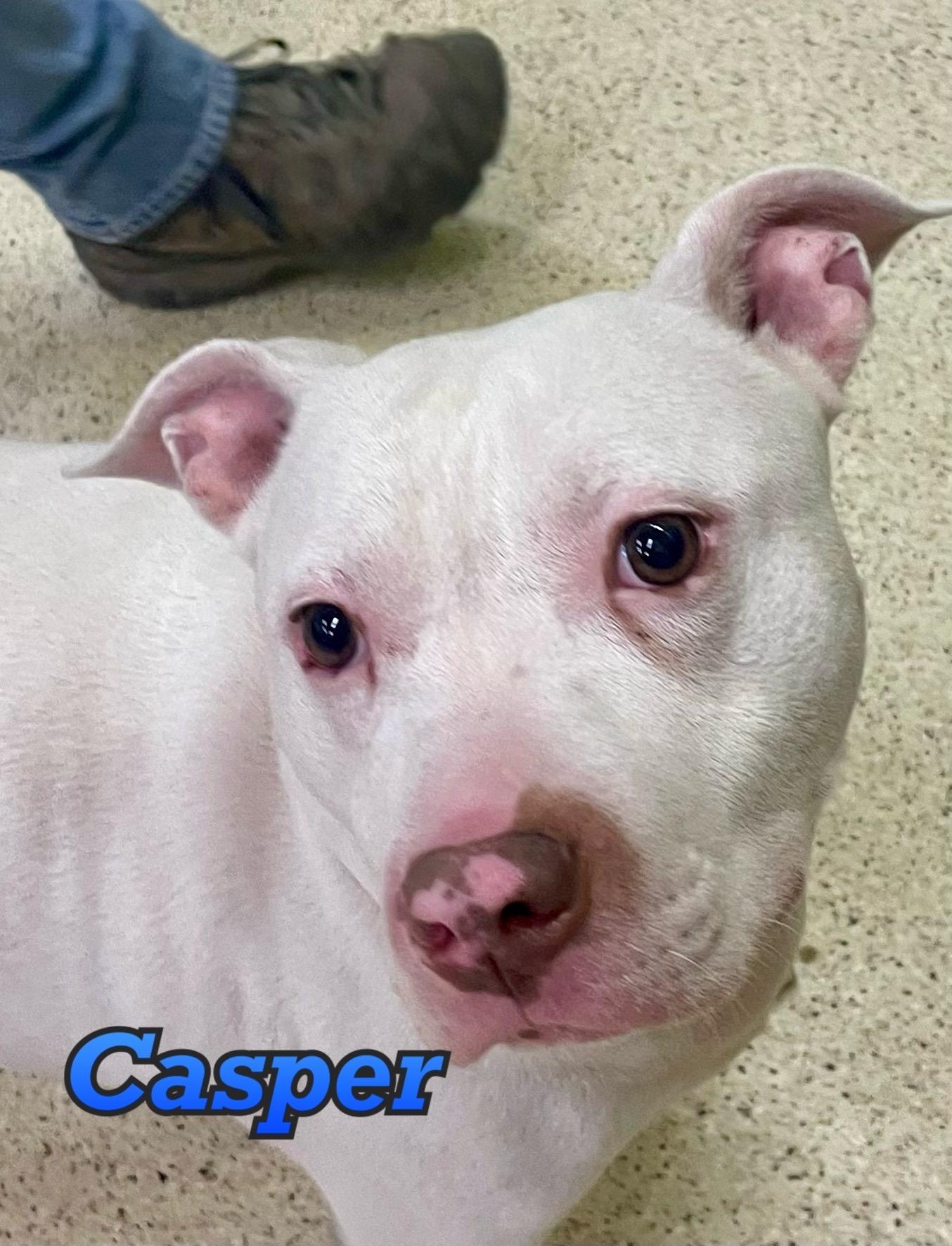 Casper