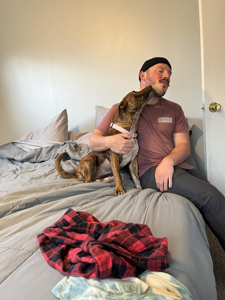 Enlarge Lady, an adopted mixed breed in Commerce City, CO image 3/6