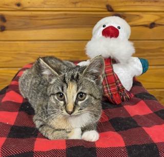 Melanie  Tiny Little thumbnail 2