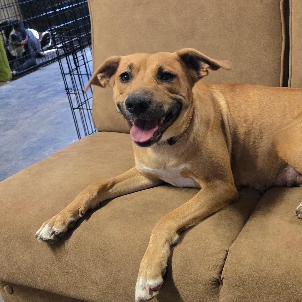 Maggie — thumbnail 2