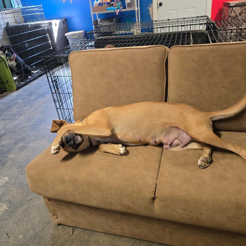 Maggie — thumbnail 3