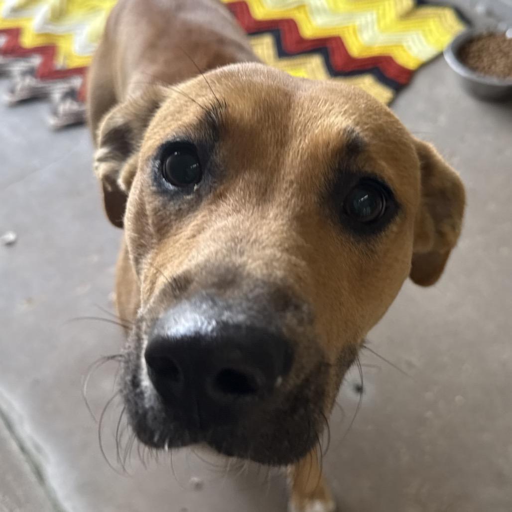 Maggie — thumbnail 5