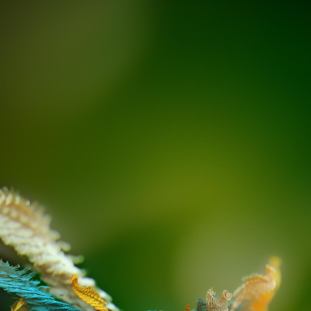 Enlarge Shazoo-duplicate, a Adoptable mixed breed in Bettles, AK image 3/4