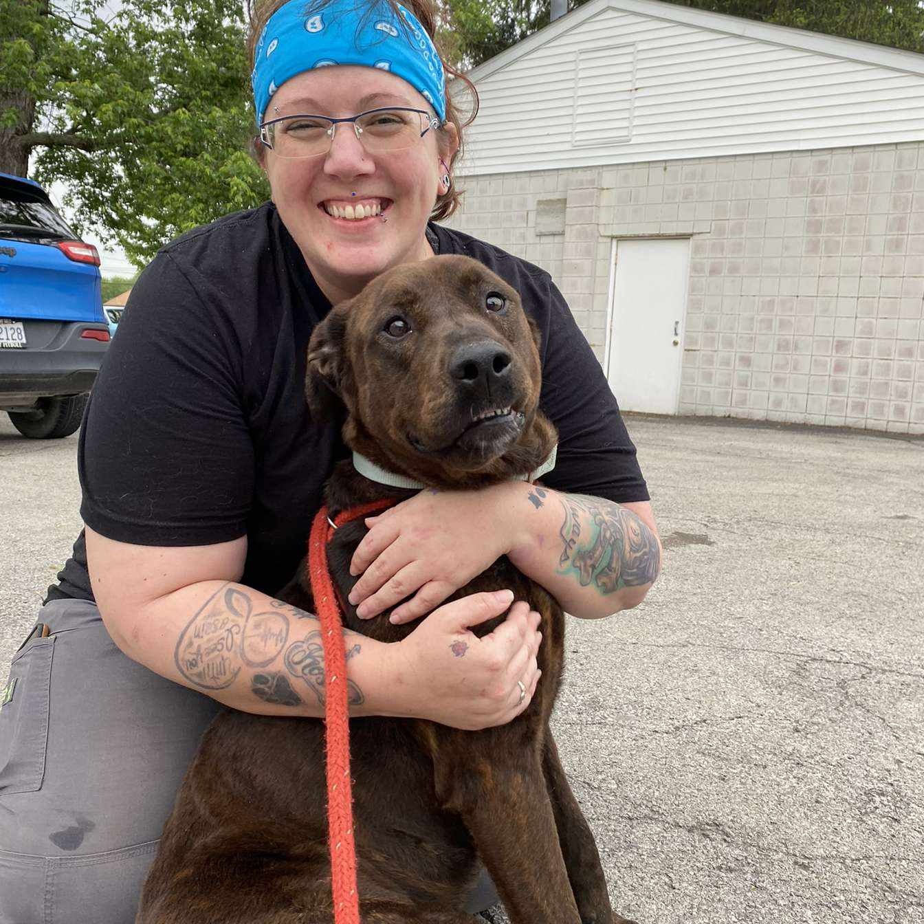 Pebbles, a Adoptable Hound in Youngstown, OH image 3/6