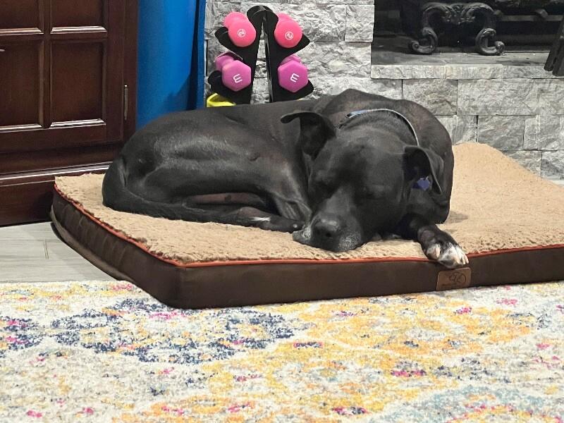 Neo the Great Snuggler and Sweetest Soul — thumbnail 3