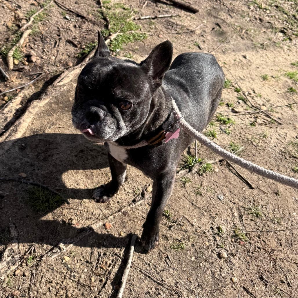 Gauguin 2012 — thumbnail 2