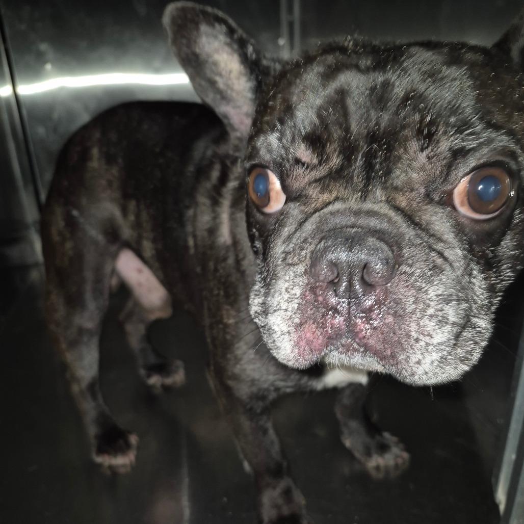 Gauguin 2012 — thumbnail 3