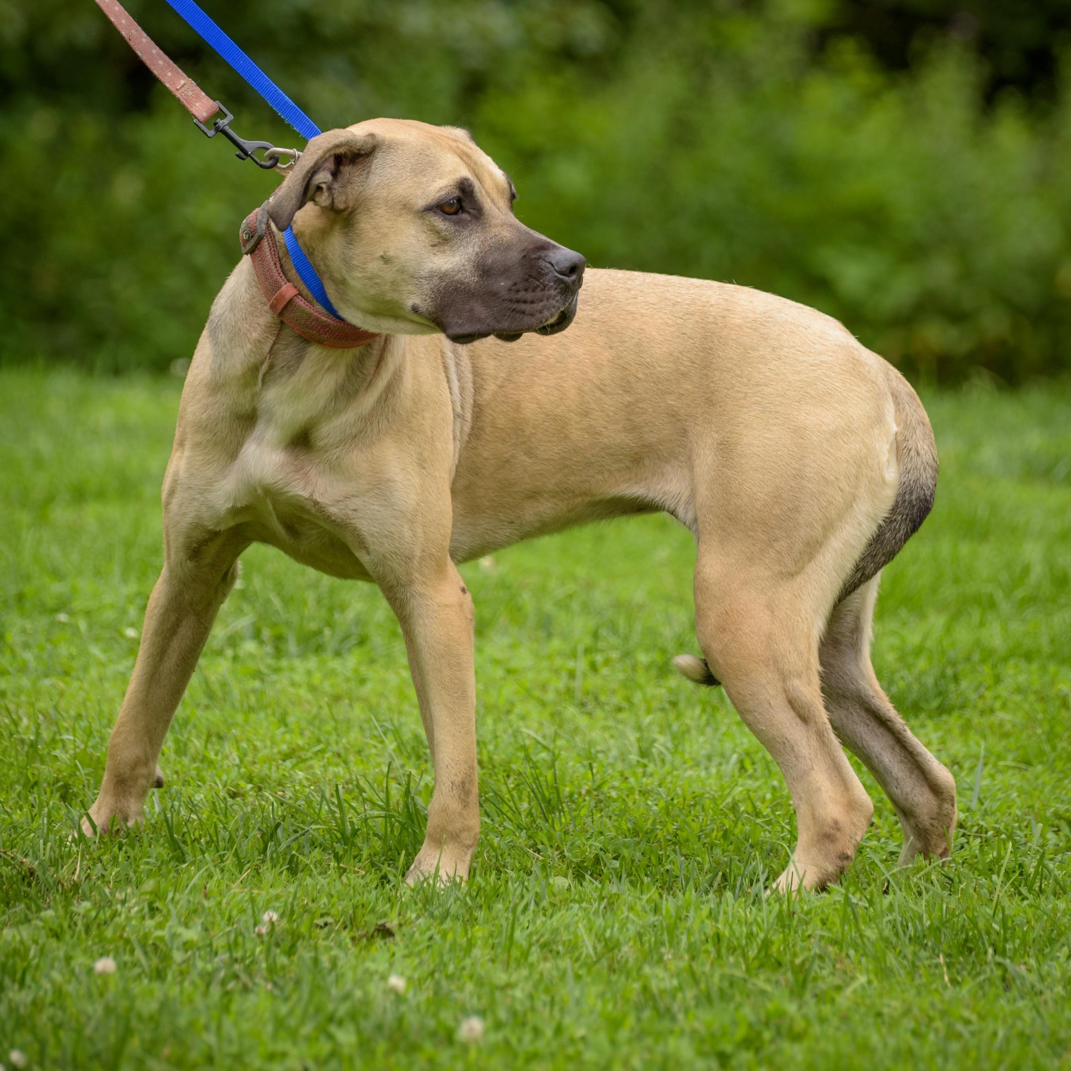 Patty — thumbnail 4