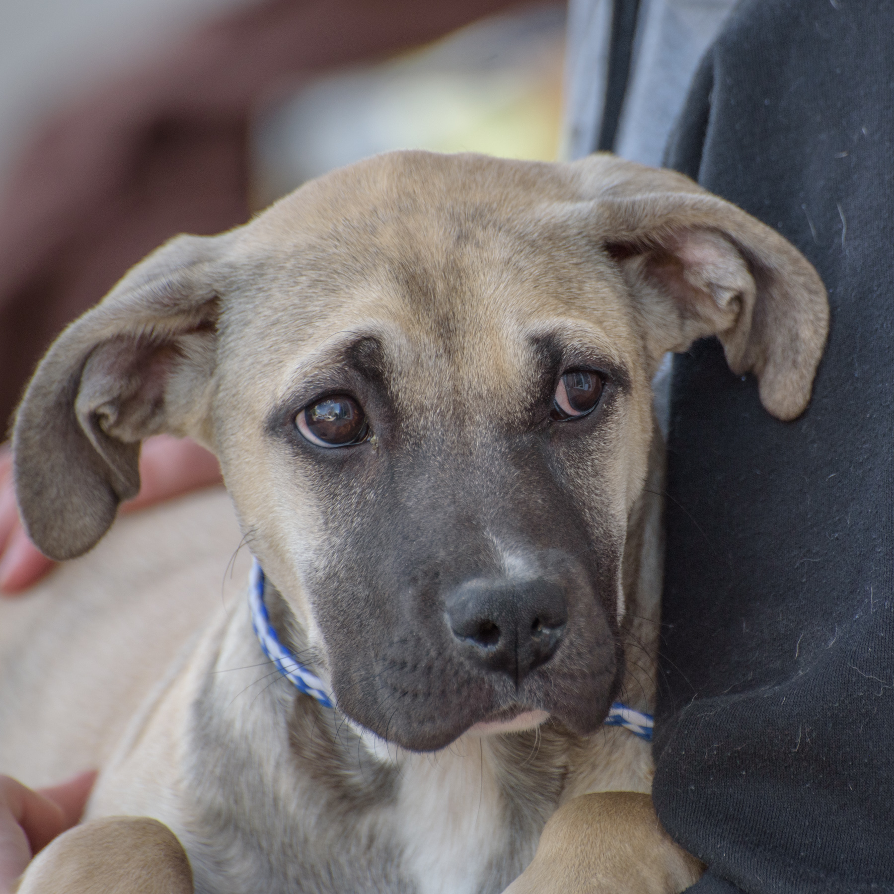 Patty — thumbnail 5