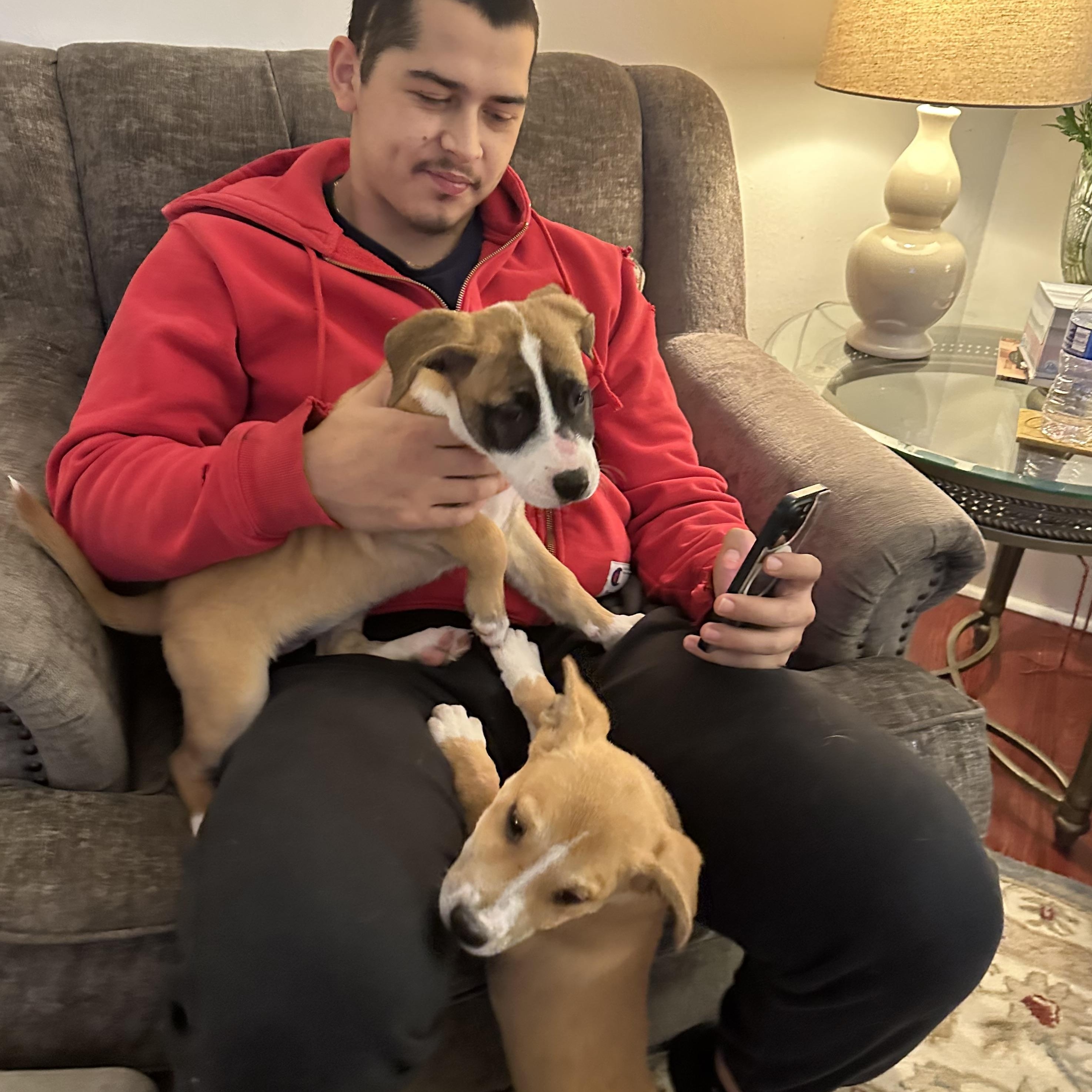 Enlarge Hutch, a Adoptable mixed breed in Newfoundland, NJ image 1/5