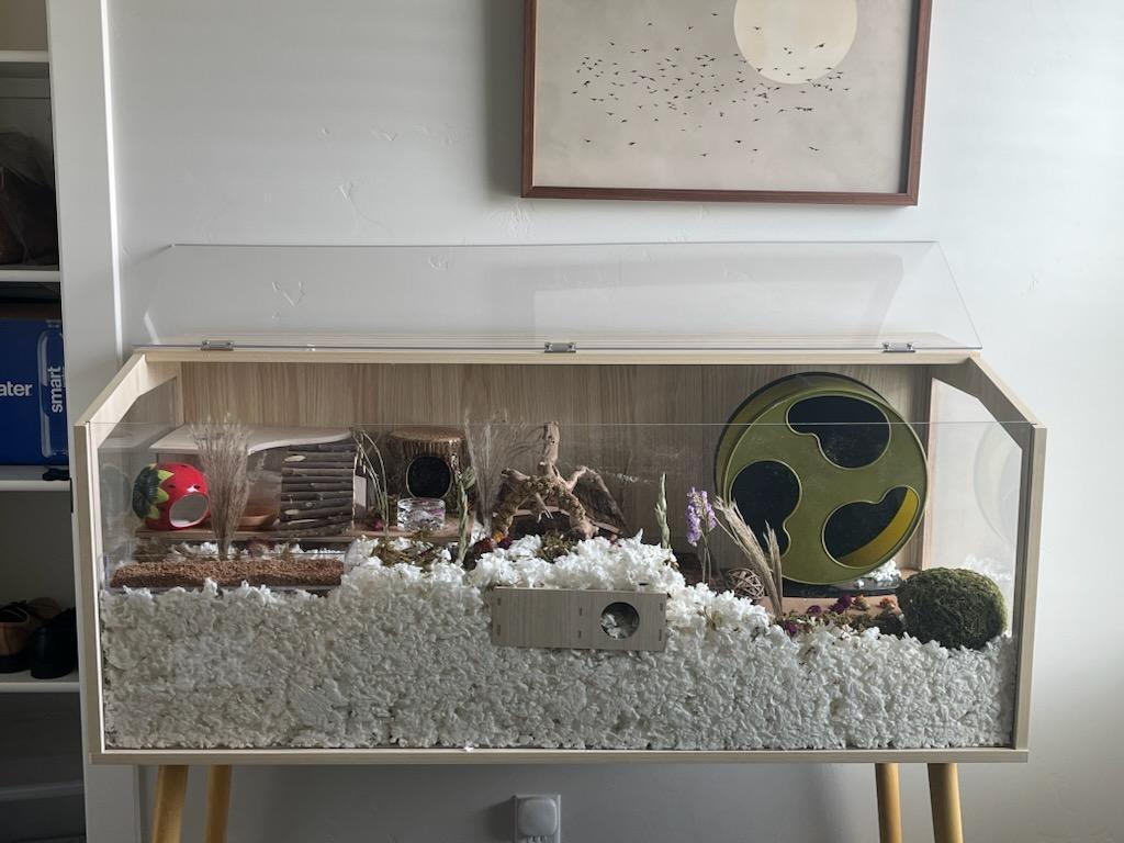 Enlarge Oliver, a Adoptable mixed breed in Idaho Falls, ID image 4/4