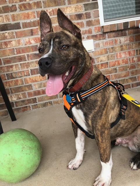 Jax