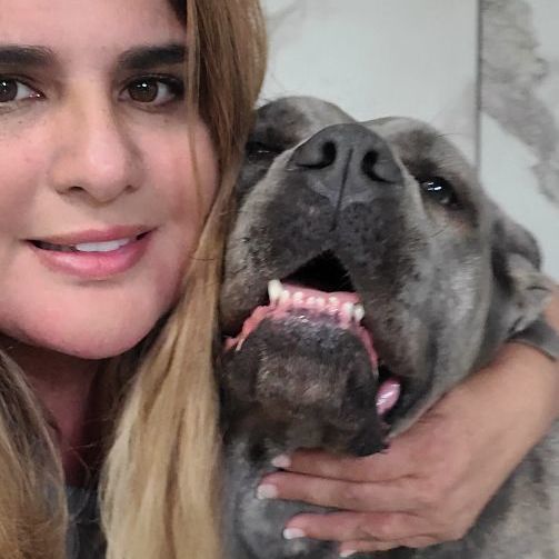 Enlarge Hazel , a Adoptable mixed breed in Madison , WI image 4/5