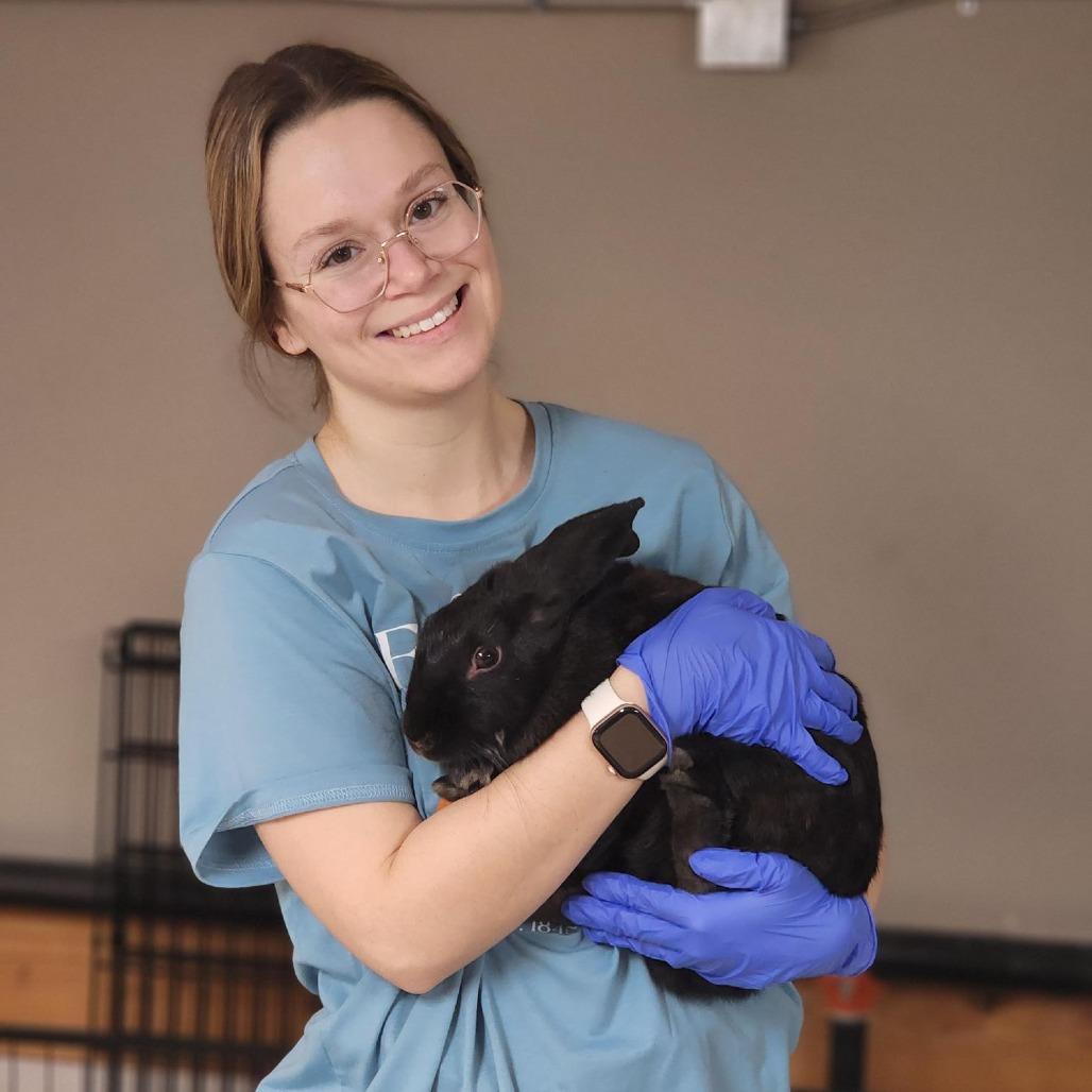 Enlarge Mamma Mia, a Adoptable American in Champaign, IL image 6/6