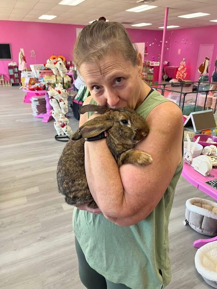 Enlarge Kettle Corn, a ADOPTABLE New Zealand in St. Charles, MO image 2/5