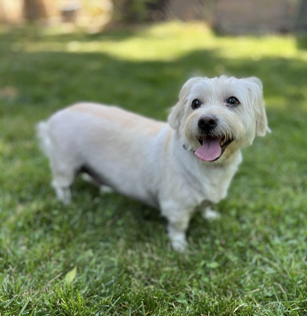 Monty