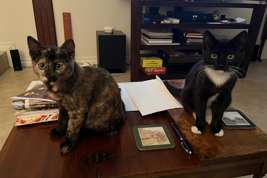 Tux and Sandy photo 4