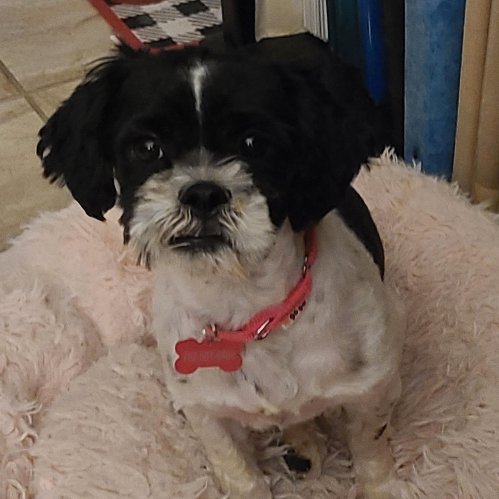 Myla, Young Female unknown