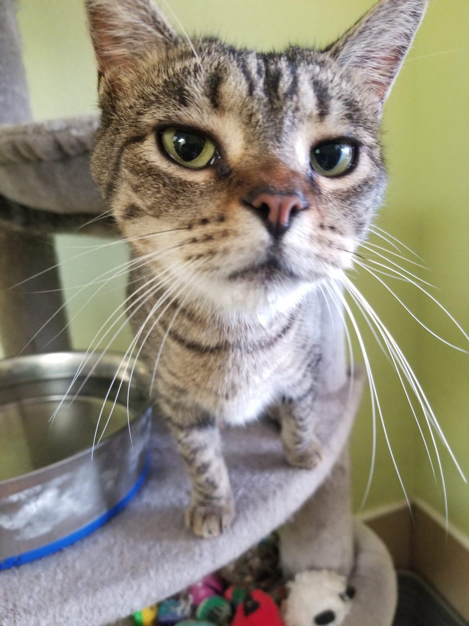 McKenzie — thumbnail 2