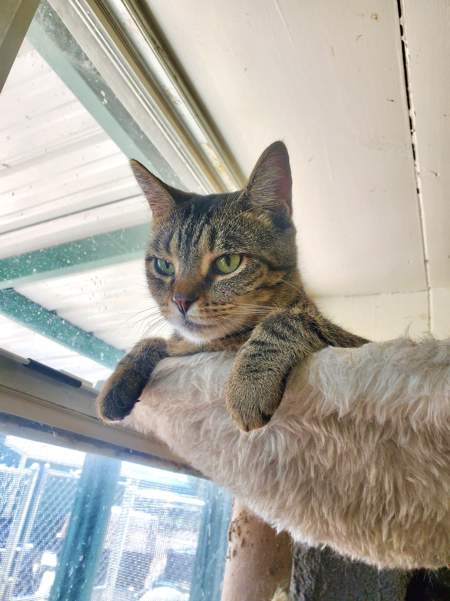 McKenzie — thumbnail 3