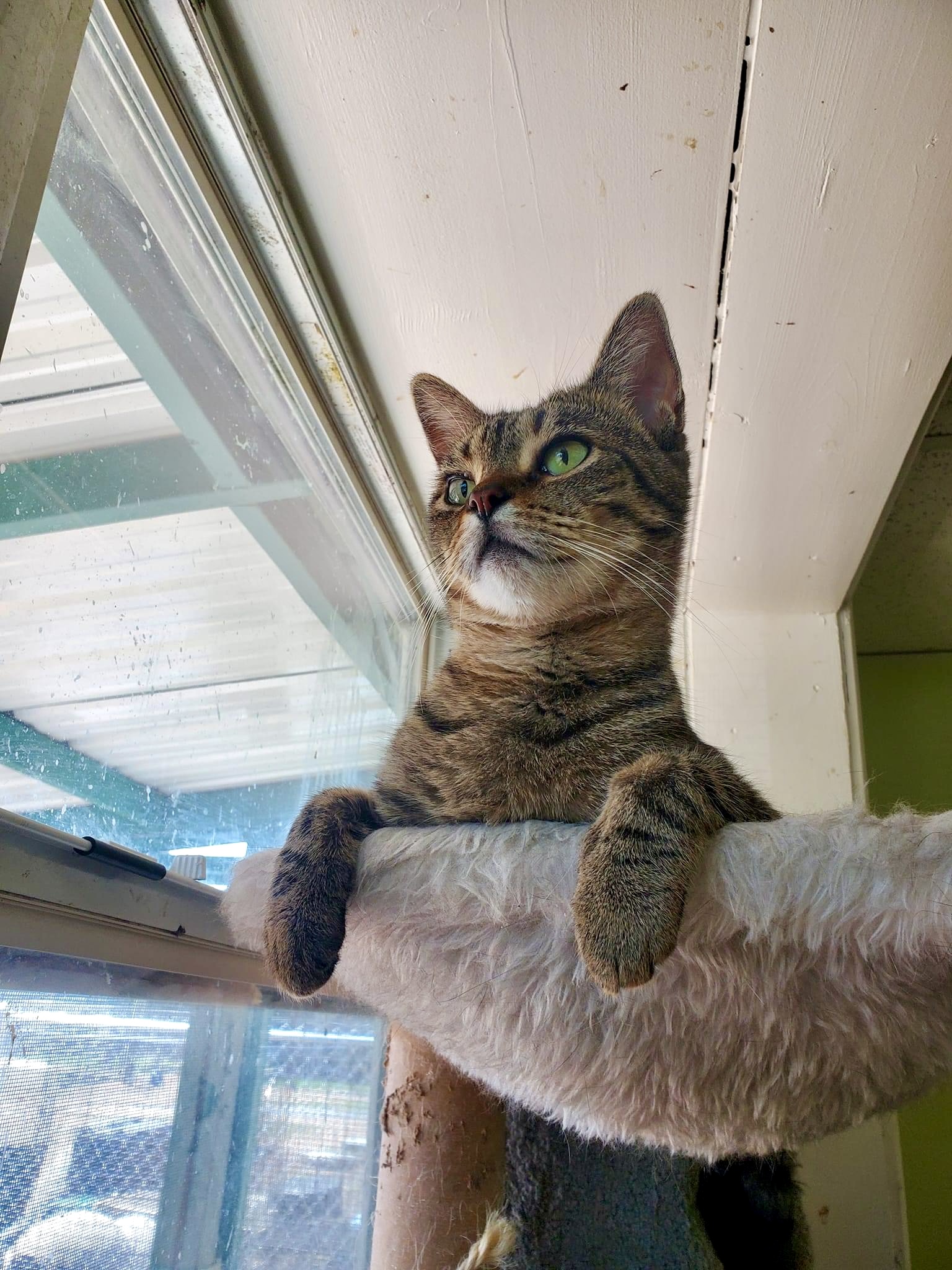 McKenzie — thumbnail 5