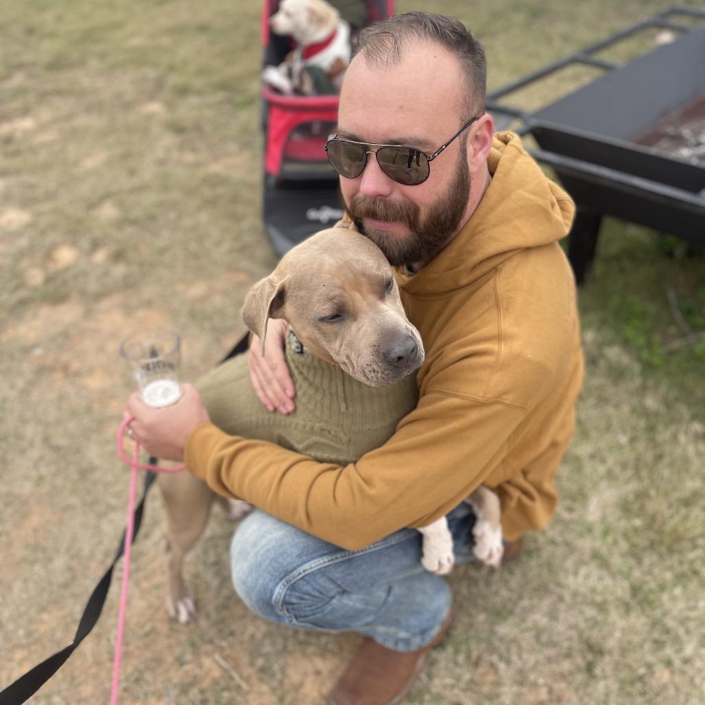 Enlarge Dallas, a Adoptable mixed breed in Dallas, TX image 2/6
