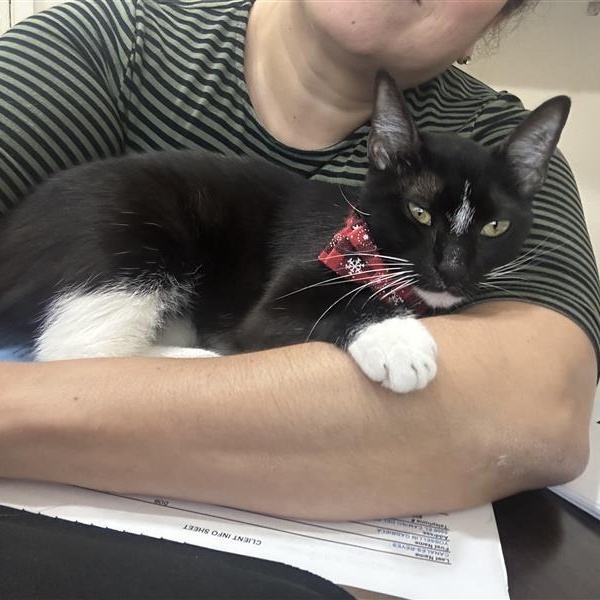 Wally Lucy Lou — thumbnail 2