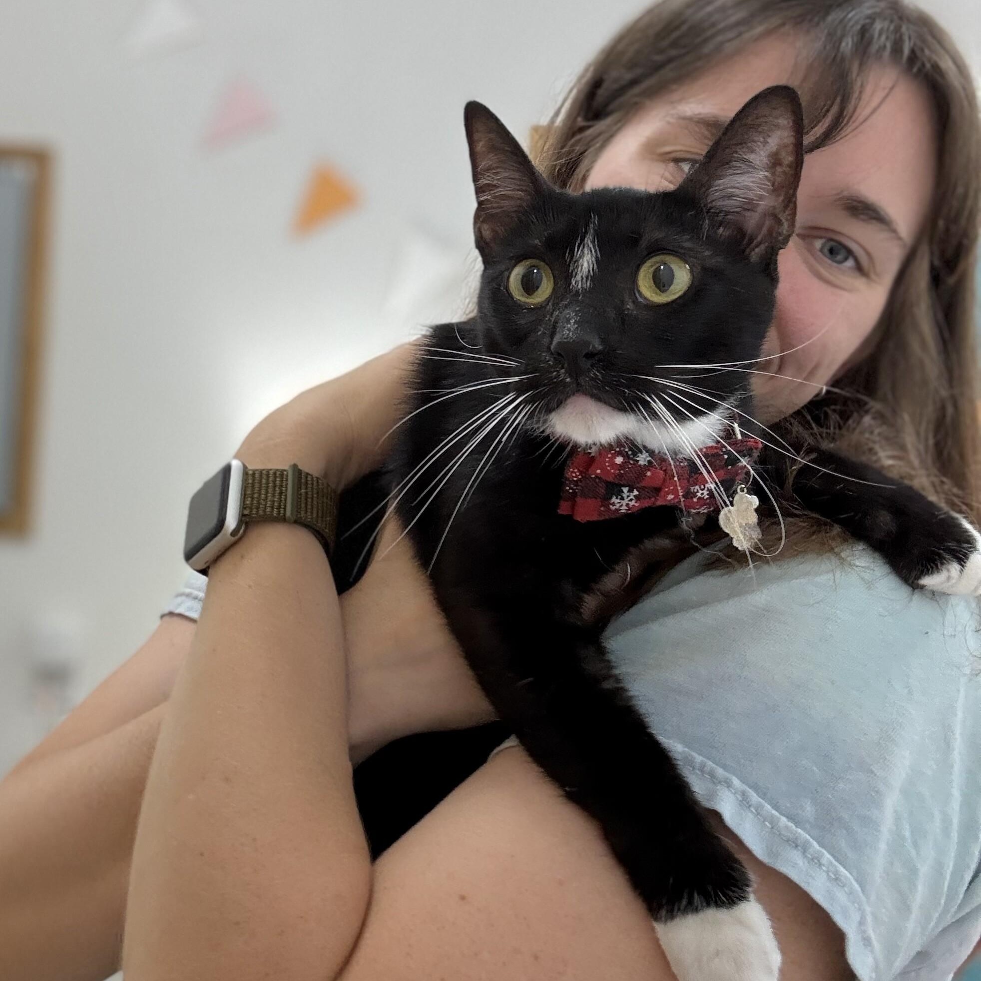 Wally Lucy Lou — thumbnail 4