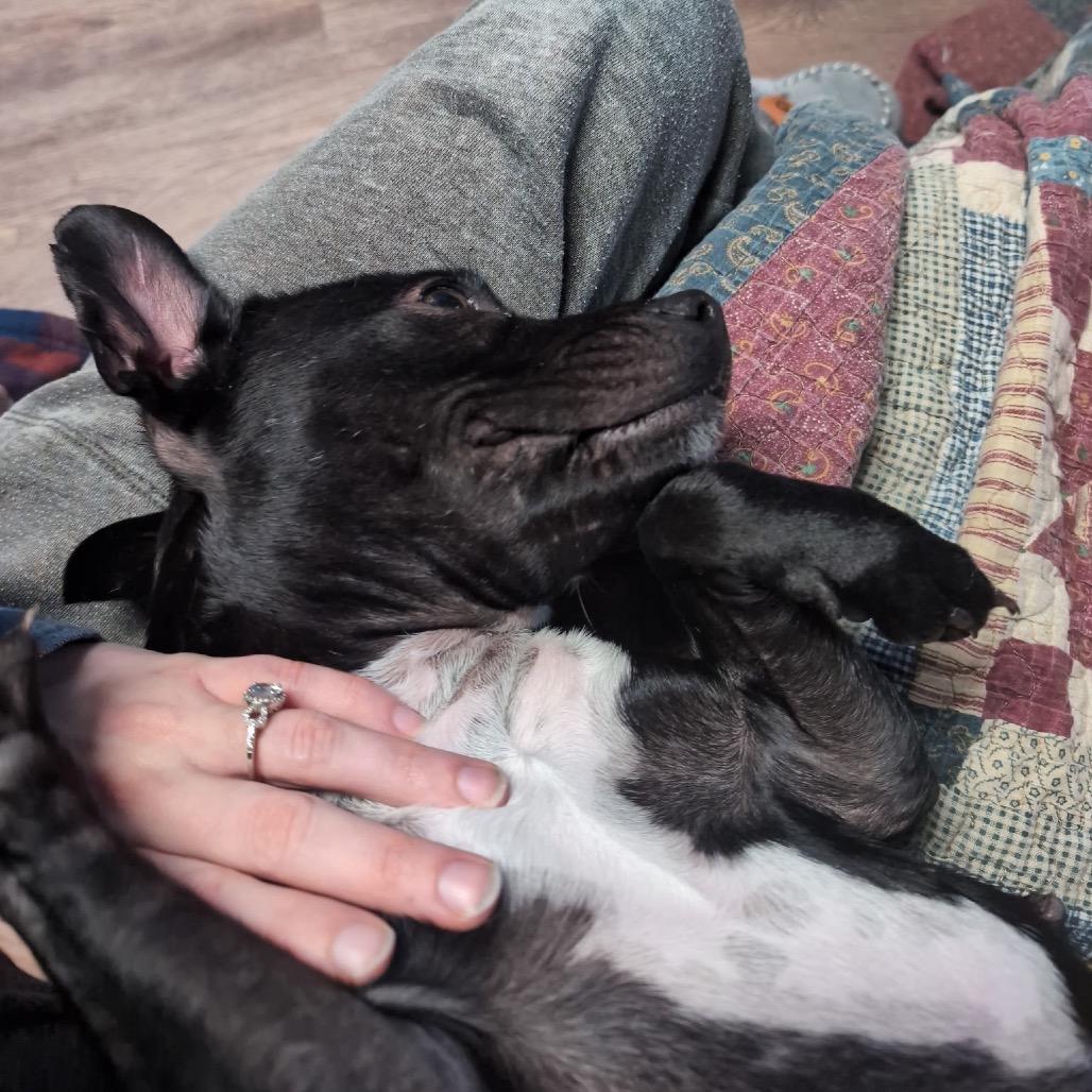 Rosalind thumbnail 5