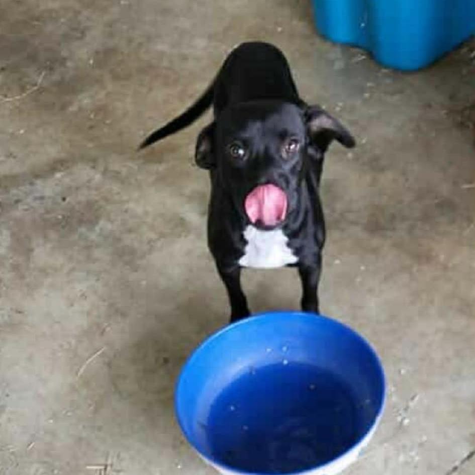 Rosalind thumbnail 6