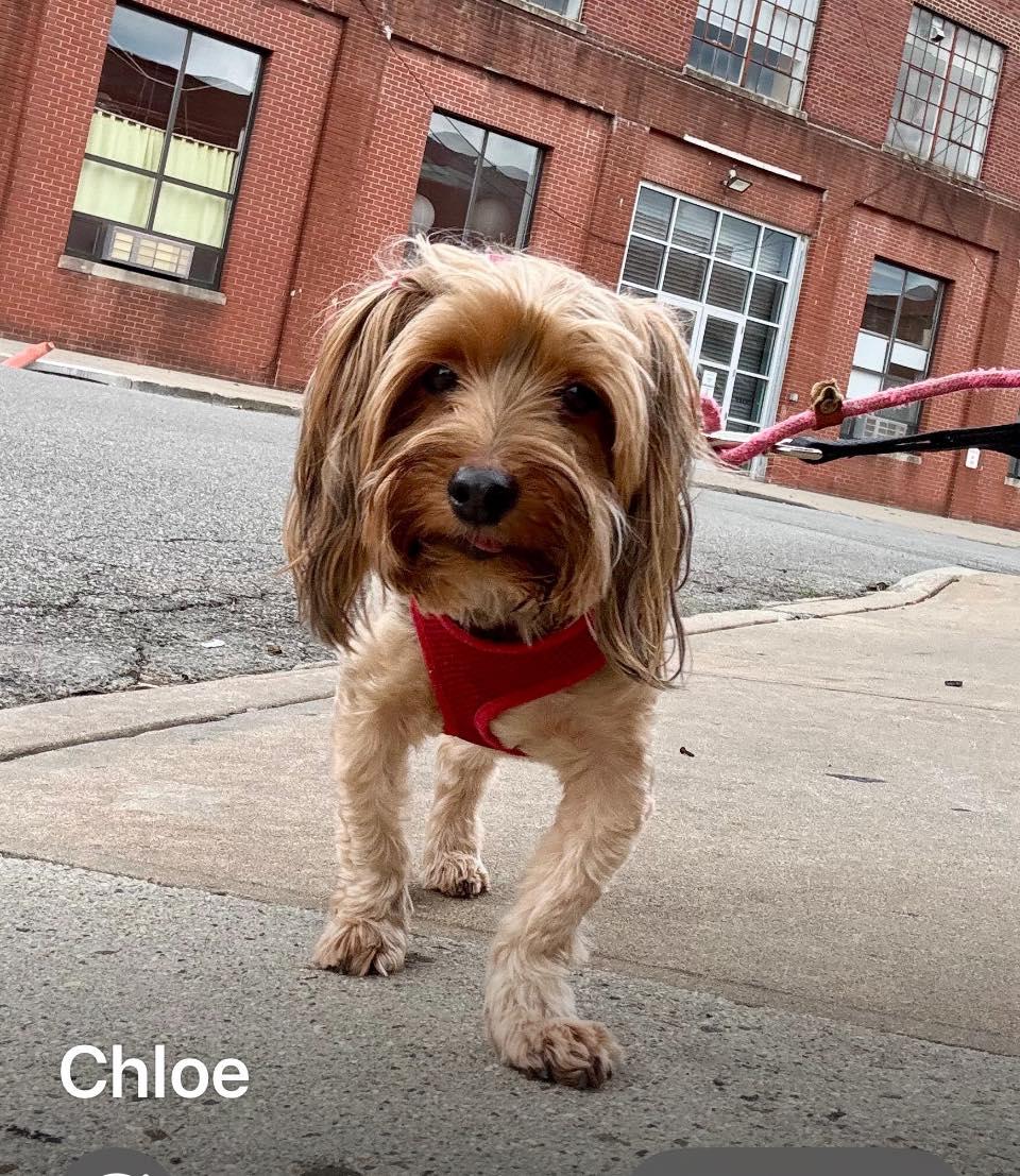 Chloe