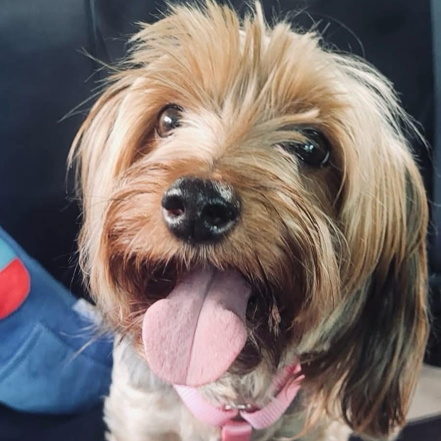 Chloe